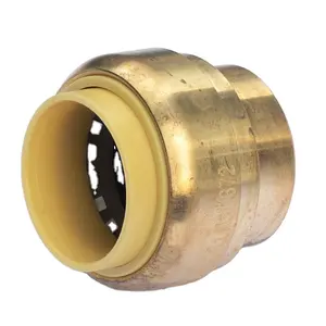 CPFFA 019 QUICK CONNECT PLUG -PUSHFIT STOP END Plumbing Push-to-Connect and NO LEAD BRASS