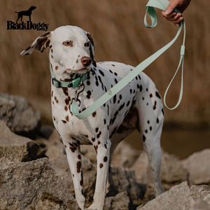 Collier en polyester pour laisse de marche pour chien avec rubans à rayures classiques imperméables personnalisés à dégagement rapide - Product Image 4