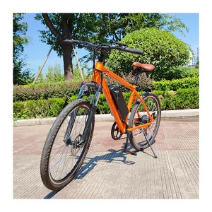 Raiderrace-607 Goedkope Prijs 26Inch 48V Mtb Ebike Elektrische Hybride Fiets Elektrische Mountainbike Voor Volwassenen Aanpassen Lithium Batterij