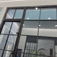 Estilo Vintage Slimline Marco Delgado Ventana abatible Aspecto de acero Ventanas francesas de aluminio para edificios históricos Mercado de EE. UU.