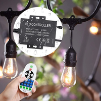 Atenuador 750W Interruptor de control remoto AC 110V 220V Bombillas de luces de cadena para exteriores