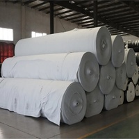 Tissu géotextile non tissé aiguilleté pour couche filtrante de drainage de jardin paysager