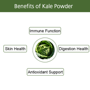 Poudre de chou frisé biologique OEM/ODM, la plus vendue, source fraîche lyophilisée, mélange pour thé et boisson verte au chou frisé, soutient l'immunité, la peau et la digestion - Product Image 3