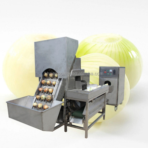 Double Belt Onion Root Cutting and Peeling Machine Production <b>Line</b> Onion <b>Processing</b> Machine <b>Line</b> Onion Peeling Machine <b>Line</b> - Product Image 1