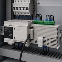 Módulo de Expansión de E/S Delta DVP16SP11R, Salida de Relé de 16 Puntos 24VDC, PLC Serie DVP-S Slim, Riel DIN, Venta al por Mayor Industrial