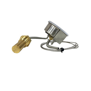 Oem 63 מ "מ מד טמפרטורה בגודל מותאם אישית, אורך צינור נימי גמיש, אפשרויות גזע שונות - Product Image 3