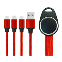 Câble de charge USB Type-C 3-en-1 en cuivre pur tressé en nylon avec logo LED personnalisé – Cadeau promotionnel pour téléphone, ordinateur/imprimante