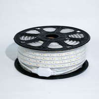 Bande lumineuse LED SMD 220, 5050 V, prise d'alimentation blanche, couleur rvb, 8 W/M, étanche