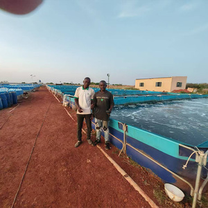Équipement d'aquaculture agricole, bassins d'élevage de poissons en PVC, bâche <span class=keywords><strong>pour</strong></span> bassin à poissons, <span class=keywords><strong>pour</strong></span> la <span class=keywords><strong>culture</strong></span> des poissons - Product Image 3