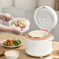 Autocuiseur Électrique Automatique Professionnel 1L 400W avec Cuve Antiadhésive, Boîtier en Plastique, Cuisson Vapeur Supérieure et Inférieure, OEM