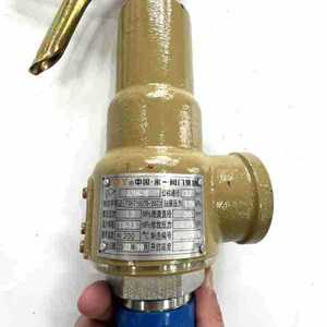 Yoy Eiichi Safety Valve A28H-16 Cast <b>Iron</b> Steel Full Lift Hand Lever Spring Flange Connection Steam Pressure Relief Right Angle - Product Image 3
