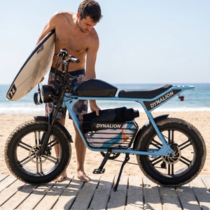 Vélo électrique à cadre en acier inoxydable avec <span class=keywords><strong>pneus</strong></span> larges 20x4.0, vélo de croisière côtier pour le transport estival des surfeurs sur la plage - Product Image 2