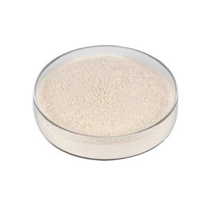 ISO HACCP认证优质天然有机纯车前子果壳粉 - Product Image 1