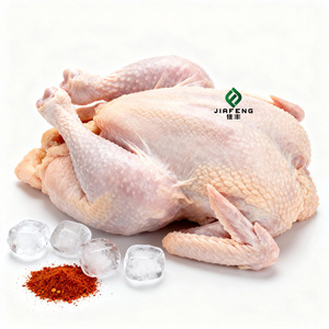 Direct van de fabriek: verse diepvries hele kippen - hormoonvrij, geen waterinjectie, geïntegreerde slacht- en verwerkingsproces - Product Image 6