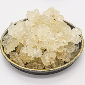 Il nido dell'uccello bianco, la rondine della neve nutre e nutre il viso - Product Image 6