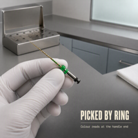 TurNato Gold Nouveau Produit Consommables Dentaires Série Endodontique pour le Maintien des Instruments de Canal Radiculaire