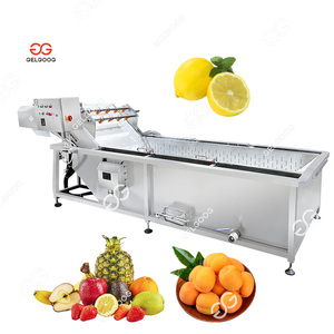500kg per hour Vortex Fruit Vegetable Washing Machine Date Washing Machine for Dried Fruits Low Price Fruit Washing Machine - Product Image 5