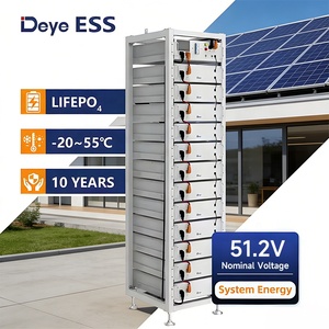 Deye 20kWh 15kWh 51.2V BOS G ชั้นวางอุตสาหกรรม LiFePO4พลังงานแสงอาทิตย์ระบบจัดเก็บพลังงานแบตเตอรี่โมดูล100Ah ความจุ - Product Image 1
