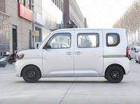 Nuevo modelo Wuling Zhiguang New Energy Electric Mini Van