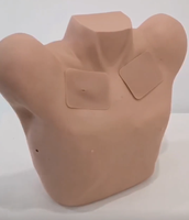 Modèle de Drainage Thoracique pour la Formation en Ponction de Pneumothorax et Hydrothorax – Simulateur de Formation Clinique