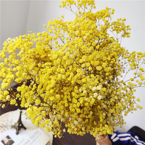 Fleurs séchées de gypsophile multicolores, fleurs séchées naturelles - Product Image 5