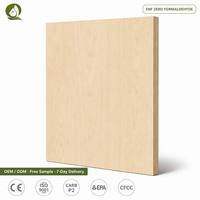 Panneau de mélamine certifié CE ISO, 18 mm, âme en eucalyptus, 11 couches, imperméable, classe E0, pour hôtels, écoles et fabricants