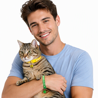 Collier personnalisé multicolore en nylon pour chien, chiot et chat, avec décoration en dentelle, robuste, pour l'entraînement, accessoire pour animaux de compagnie, à ouverture rapide, rembourré, haute qualité