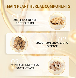 Plester Herbal Cina, pengobatan sendi & pereda nyeri otot, pengobatan menenangkan Arthritis olahraga - Product Image 5