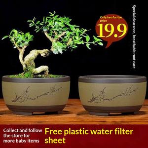 Maceta para Plantas Suculentas, Color Morado Arena, Grande, Mediana, Pequeña, Estilo Bonsái, Forma <span class=keywords><strong>de</strong></span> Tambor, Simple, Estilo Chino, Transpirable, para Jardinería en Casa, Maceta Verde - Product Image 5