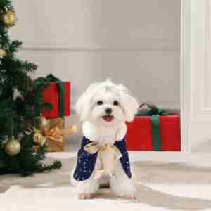 เสื้อคลุมลายสก๊อตสำหรับสัตว์เลี้ยงผ้าห่มหนาลายสก๊อตสำหรับสุนัขแมวฤดูใบไม้ร่วงฤดูหนาว - Product Image 2