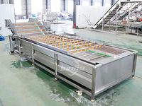 2000Kg/u Abrikozen- en sla-wasmachine, belletjesreinigingsmachine, fruitreiniger, ozon groentewasmachine