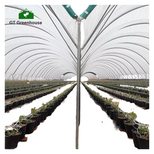 Grande serre agricole multi-chapelle en film PE durable pour la culture des cultures, la culture des plantes en ferme et la protection des pépinières - Product Image 1