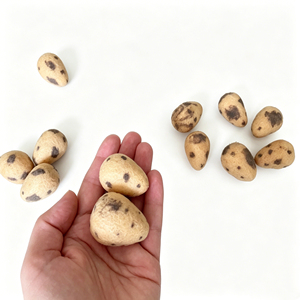 Boules de feutre en laine à <span class=keywords><strong>pois</strong></span>, feutre fait main style naturel frais, texture réaliste, ornements décoratifs rustiques élégants - Product Image 5