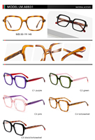 Gafas de Sol de Acetato con Diseño de Logotipo Personalizado, Montura de Gafas Ópticas de Acetato para Mujer