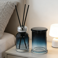 Bouteille en verre vide de 120 ml pour diffuseur d'arômes à bâtonnets, dégradé personnalisé, parfum d'ambiance, vente en gros