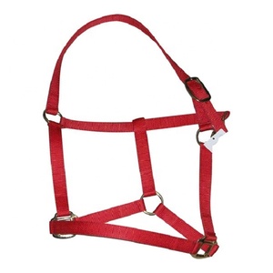 רתמת ניילון לסוסים, רתמת PP, כל הגדלים - Product Image 6