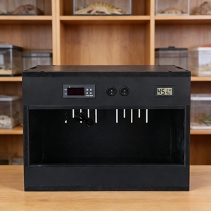 Terrarium pour reptiles, grenouilles cornées, araignées, geckos et aquariums aquascaping sur le thème de la forêt tropicale, enclos pour reptiles 4x2x2 - Product Image 3