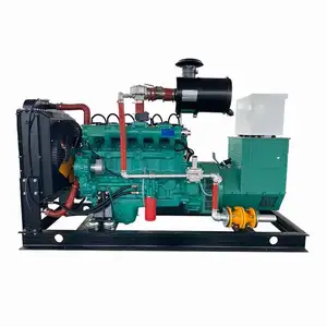 Mini công nghiệp CHP Rick trấu len PELLET rơm SINH KHỐI gasifier syngas Máy phát điện để sấy khô