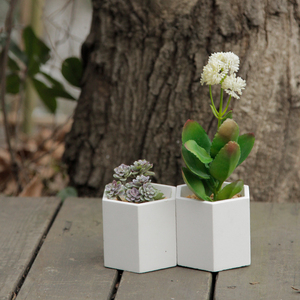 Ingrosso su misura semplice esagonale grande fioriera all'aperto grande semplice esagonale giardino balcone <span class=keywords><strong>vaso</strong></span> per piante succulente all'aperto - Product Image 6