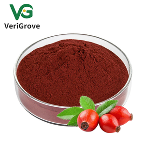 Puro Natural Rose Hip Pó <span class=keywords><strong>Rosehip</strong></span> Extrato Em Pó - Product Image 2