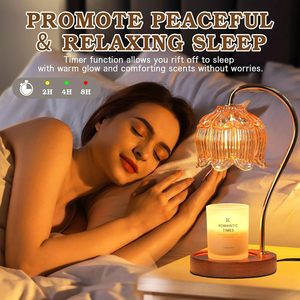 Đèn tỏa hương trang trí nhà cửa phòng ngủ phòng khách quà tặng Giáng sinh đèn hoa thủy tinh cổ điển có thể điều chỉnh độ sáng đèn sưởi nến điện - Product Image 6