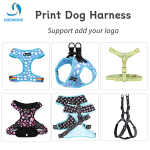 Ensemble de harnais et de laisse pour chien réglable avec bandana à nœud papillon personnalisé, harnais à enfiler personnalisé, ensemble de laisse pour la marche - Product Image 4