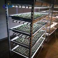 Chariot Danois pour Plantes de Pépinière 129 TC4622, Lit de Semis à Roues, Rayonnage pour Jeunes Pousses