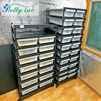 Système de rack d'éclosion pour serpents, bacs d'élevage en PVC pour reptiles avec chauffage pour python ball
