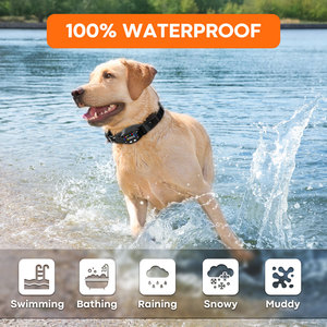 Clôture <span class=keywords><strong>sans</strong></span> fil GPS pour <span class=keywords><strong>chien</strong></span>, collier étanche IPX7, clôture électrique pour chiens, système de clôture pour animaux de compagnie, clôture pour <span class=keywords><strong>chien</strong></span> pour utilisation en extérieur - Product Image 6