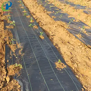 חקלאי פלסטיק ארוג מאלץ Weedmat/שליטת עשב מחצלת