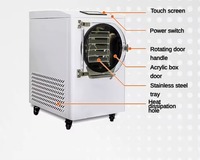 Machine de lyophilisation automatique en acier inoxydable haute productivité 20 kg/lot, séchage sous vide, pour usage domestique, légumes et confiseries