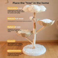 Lit pour chat en bois massif, design intégré, empreinte compacte pour les grands chats, simplicité moderne
