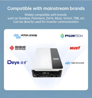Sistemas de Almacenamiento de Energía para el Hogar (ESS) BMS 8S 24V 16S 48V 100A 150A 200A Inteligente Lifepo4 48V 60V Inversor BMS RS485 CANBUS con BT Wifi