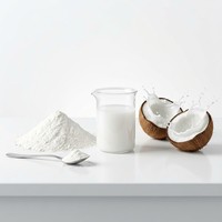 Poudre de jus de myrtille sauvage instantanée pure FVP-13 de qualité alimentaire en bouteille/boîte/fût/contenant en plastique pour café et pâtisserie